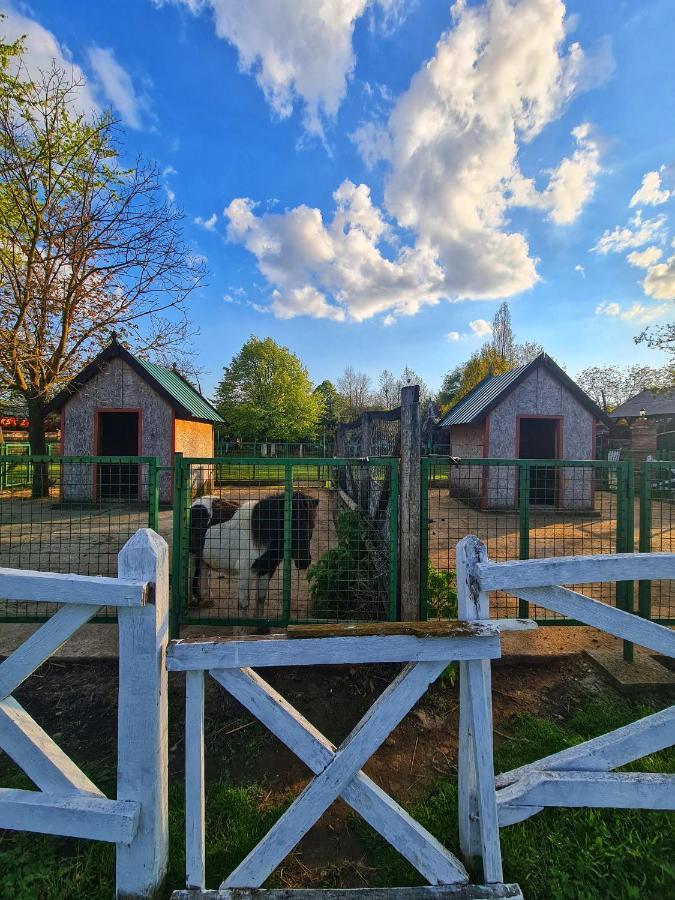 Wood Mood Apartman Tiganjica Stajicevo Exterior foto